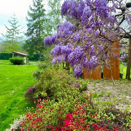 Alpi Liguri - Giulia * Peveragno