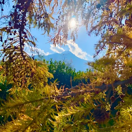 Alpi Liguri - Giulia