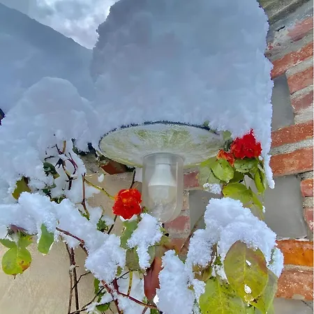 Alpi Liguri - Giulia * Peveragno