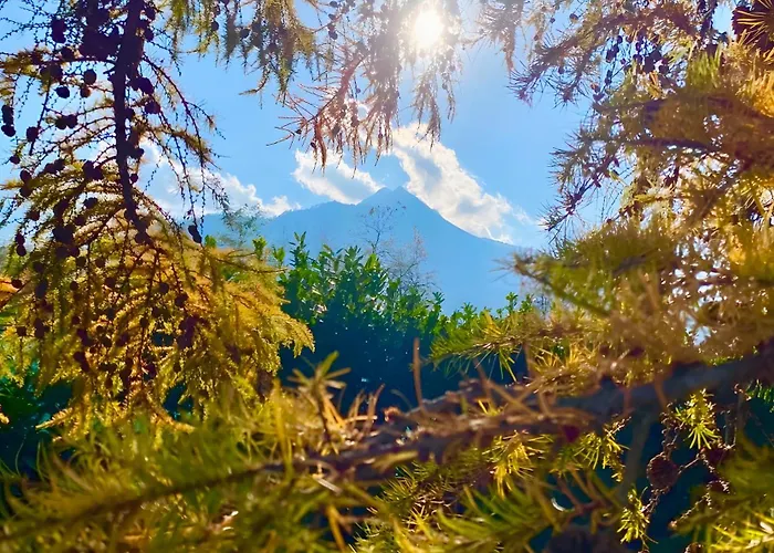 Alpi Liguri - Giulia